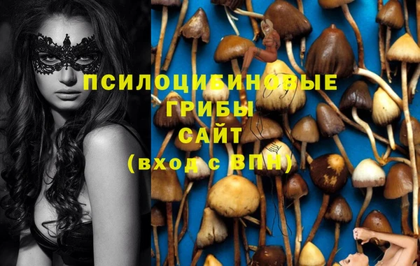 винт Богородицк
