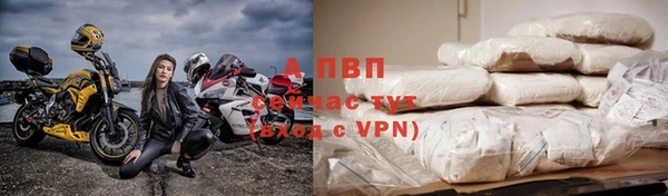 стафф Богородск