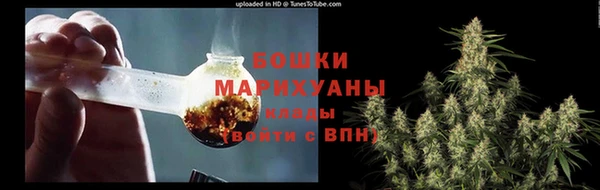 гидропоника Богданович