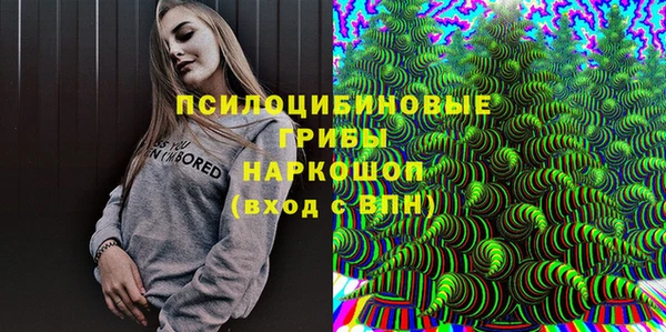 гидропоника Богданович