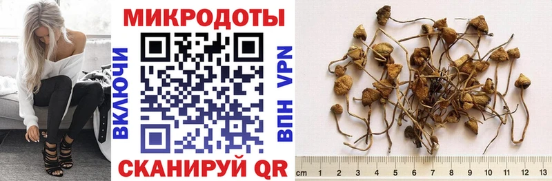 Псилоцибиновые грибы мицелий  Тайшет 